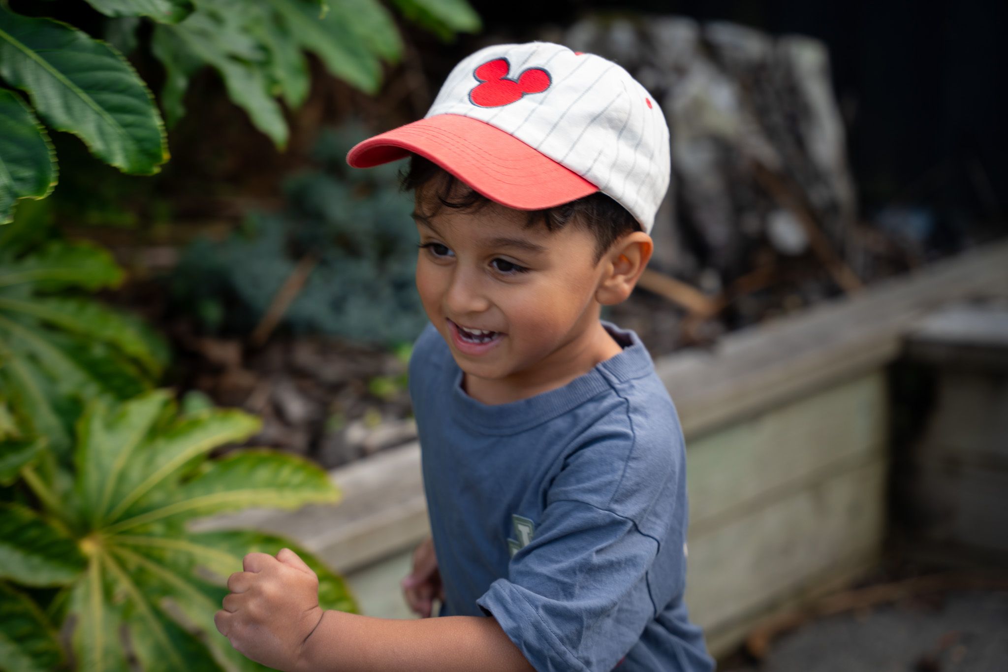Happy young boy in a grey t-shirt and red-white cap running outdoors past lush green plants during a playful family photography session in Auckland