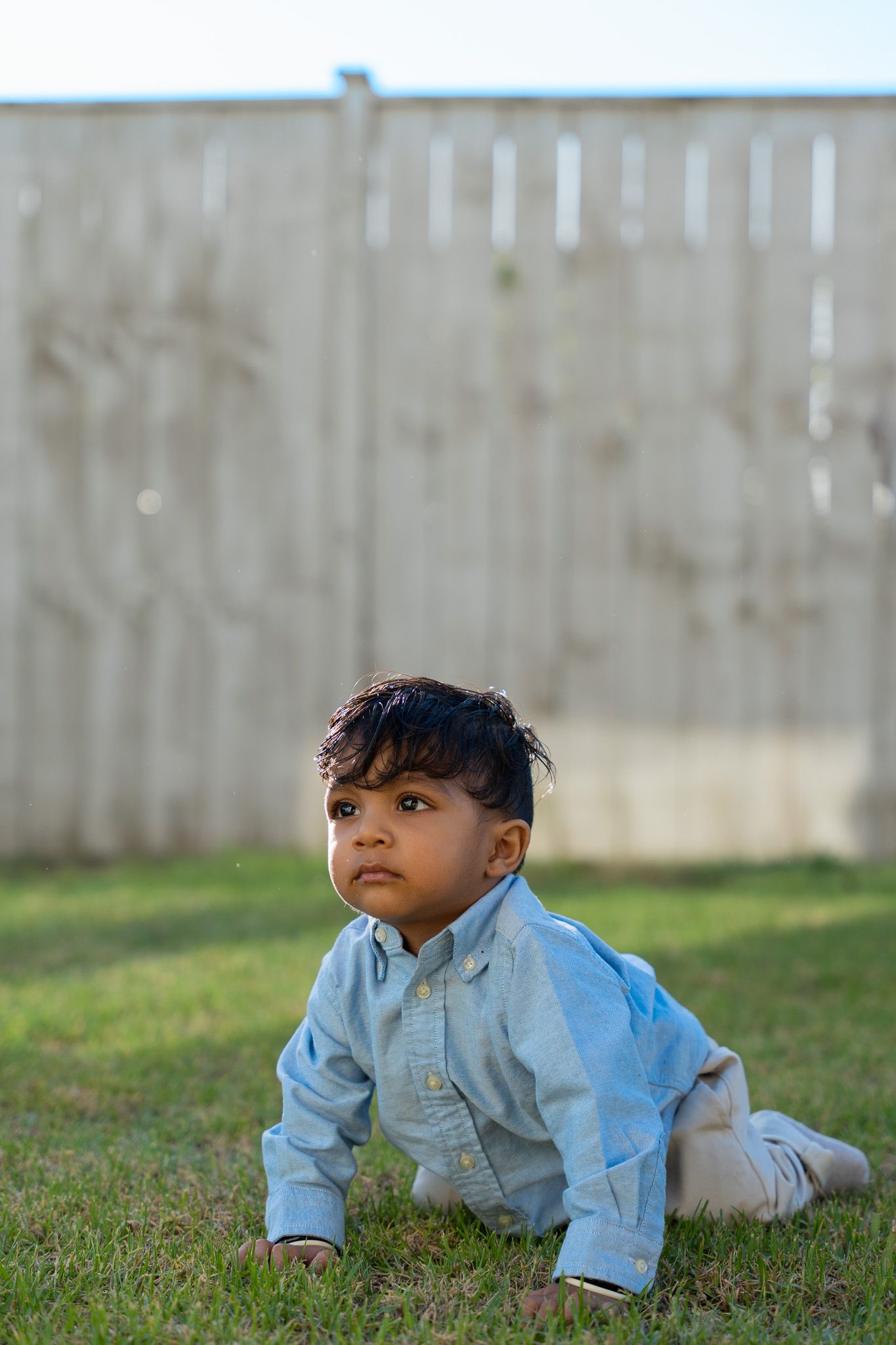 Young boy in a light blue shirt crawling on the grass in a sunny backyard during a relaxed outdoor family photography session in Auckland